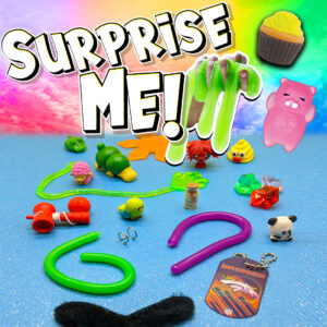 2" Surprise Me! (250 pcs)